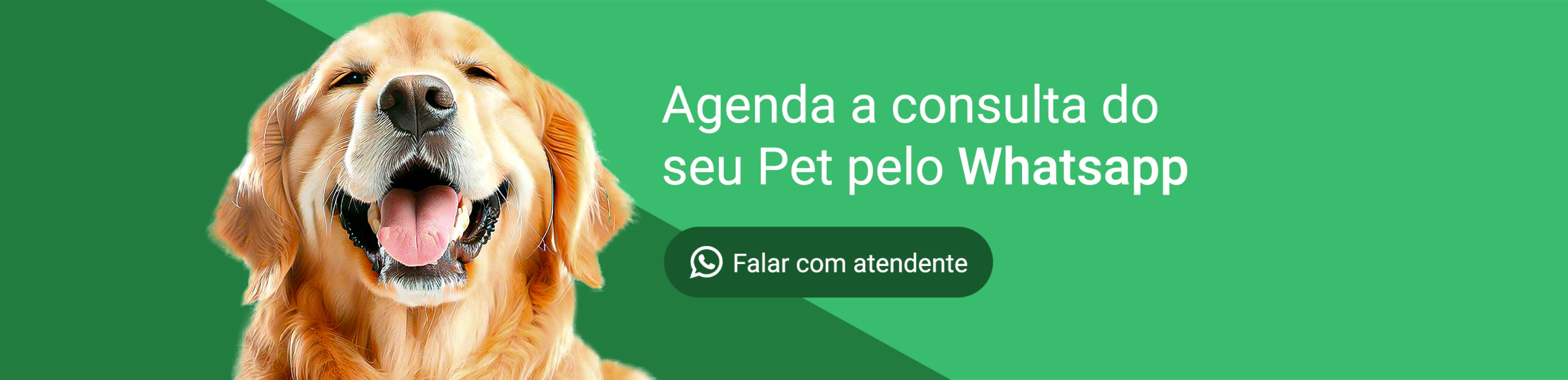 banho_banner_petmix